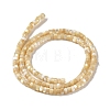 Natural Trochid Shell/Trochus Shell Beads Strands BSHE-H018-02-2