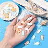 10Pcs Natural Shell Pendants SHEL-YW0001-12-5
