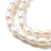 Natural Cultured Freshwater Pearl Beads Strands PEAR-I007-01N-02A-4