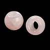 Natural & Synthetic Mixed Stone European Beads G-R488-01-5