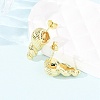 Conch Brass Stud Earrings EJEW-D351-07G-1