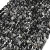 Natural Eagle Eye Stone Beads Strands G-D108-A02-03-2