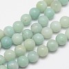 Round Natural Amazonite Bead Strands G-I183-02-12mm-1