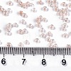 6/0 Glass Seed Beads X-SEED-A015-4mm-2221-4