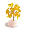 Natural Yellow Quartz Sculpture Display Decorations PW-WGC5A46-13-1