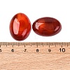 Natural Carnelian Cabochons X-G-D860-A22-4