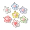 Translucent Resin Pendants RESI-P039-01P-1