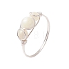 Round Natural Sea Shell Finger Rings RJEW-JR00848-01-2