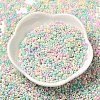 Baking Paint Glass Seed Beads SEED-P006-03A-30-2