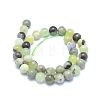 Natural Jade Beads Strands G-L552H-13D-3