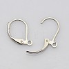316L Surgical Stainless Steel Leverback Earring Findings STAS-E194-03P-2
