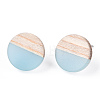 Transparent Resin & Wood Stud Earrings EJEW-N017-003A-D01-3
