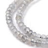 Natural Labradorite Beads Strands G-A026-C03-3