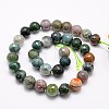 Natural Indian Agate Beads Strands G-G542-6mm-19-2