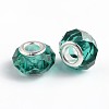 Handmade Glass European Beads X-GPDL25Y-68-2