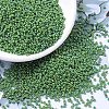MIYUKI Round Rocailles Beads X-SEED-G007-RR0480-1