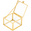 Transparent Glass Jewelry Organizer Display Cases with Metal Frame ODIS-WH0025-357A-1