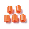 PE Fuse Beads X-DIY-R013-77-2