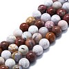 Natural Ocean Jasper Beads Strands G-P457-C03-06-1