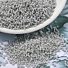 MIYUKI Delica Beads SEED-J020-DB2366-1