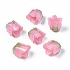 Plastic Beads X-KY-N015-037F-1