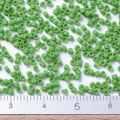 MIYUKI Delica Beads SEED-JP0008-DB0754-1