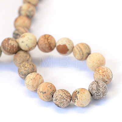 Frosted Natural Picture Jasper Round Bead Strands G-E334-12mm-26-1