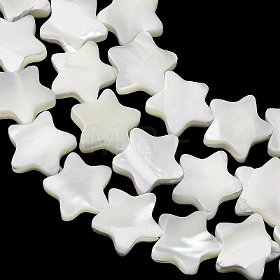 Natural Trochid Shell/Trochus Shell Beads Strands SH-CBA2978-17B-1