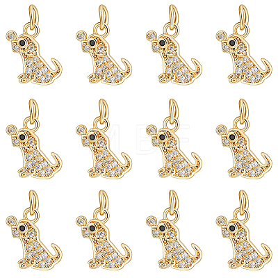 12Pcs Brass Micro Pave Cubic Zirconia Charms KK-GA0002-53-1