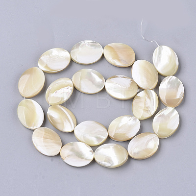 Natural Trochid Shell/Trochus Shell Beads Strands SHEL-T013-006A-01-1