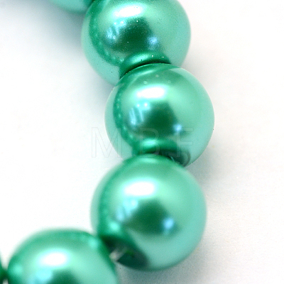Baking Painted Pearlized Glass Pearl Round Bead Strands X-HY-Q003-10mm-29-1