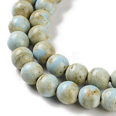 Natural Rainbow Alashan Agate Beads Strands G-NH0022-A01-01-1