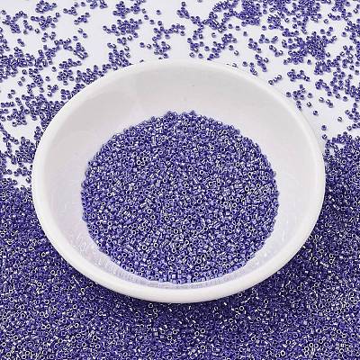 MIYUKI Delica Beads X-SEED-J020-DB1569-1