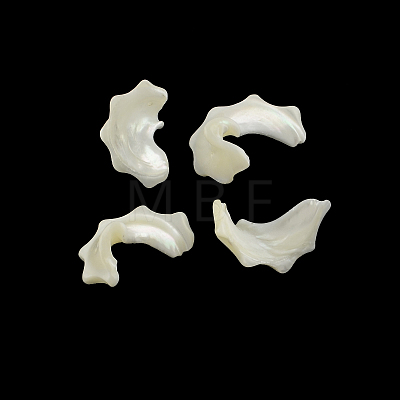 Chips Natural Sea Shell Beads Strands SSHEL-F290-30-1