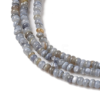 Natural Freshwater Shell Beads Strands SHEL-P017-01A-13-1
