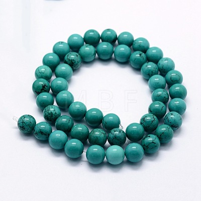 Natural Magnesite Beads Strands G-I199-33-6mm-1