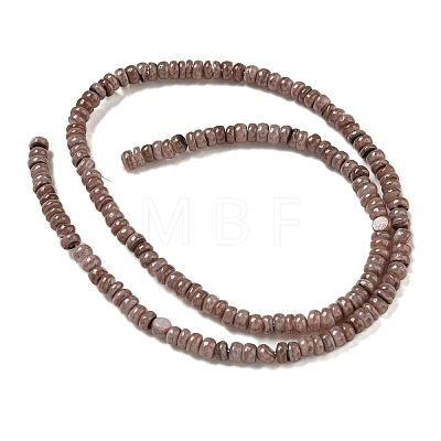 Dyed Natural Freshwater Shell Beads Strands BSHE-G039-07I-1