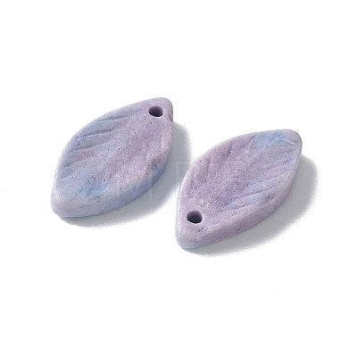 Natural Rainbow Alashan Agate Pendants G-G194-03-1