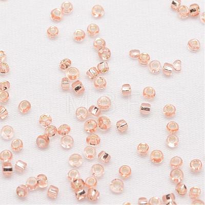 8/0 Round Glass Seed Beads SEED-J018-F8-72-1