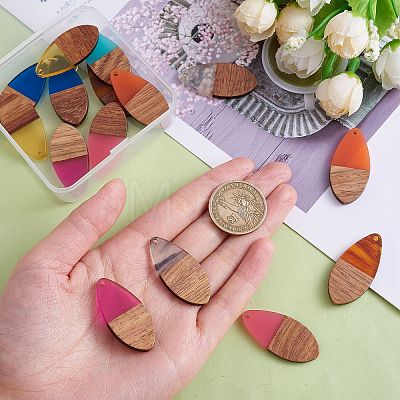 16Pcs 8 Styles Transparent Resin & Walnut Wood Pendants RESI-SZ0001-86-1