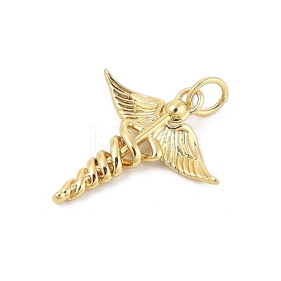 Brass Pendants KK-P300-21G-1