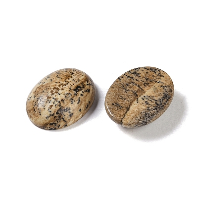 Natural Picture Jasper Cabochons G-B080-01A-11-1