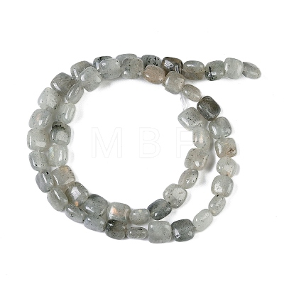 Natural Labradorite Beads Strands G-M435-A11-01-1