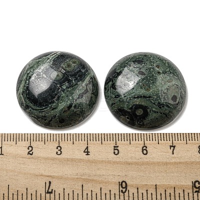 Natural Kambaba Jasper Cabochons G-C115-02B-24-1