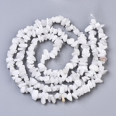 Natural White Moonstone Beads Strands X-G-S363-018-1