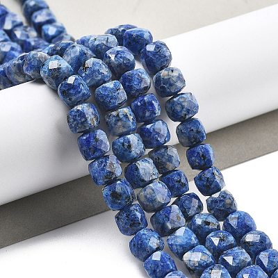 Dyed Natural Sesame Jasper Beads Strands G-C179-B02-01-1