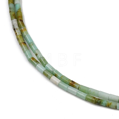 Natural Chrysoprase Beads Strands G-M389-22-1