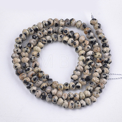 Natural Dalmatian Jasper Beads Strands G-S354-46-1