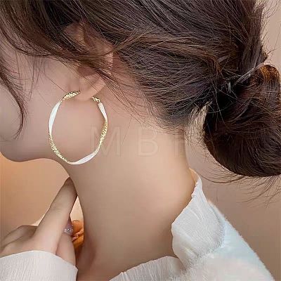 Alloy Enamel Hoop Earrings FS-WG76269-02-1