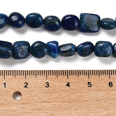 Natural Lapis Lazuli Beads Strands G-P497-01E-03B-1